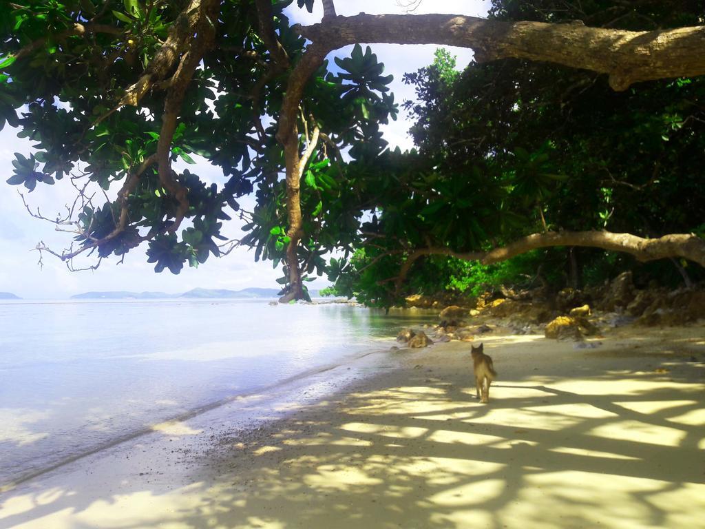 Alam Indah Beach Resort Busuanga Εξωτερικό φωτογραφία