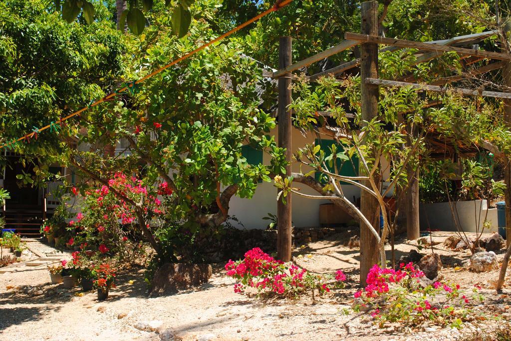 Alam Indah Beach Resort Busuanga Εξωτερικό φωτογραφία